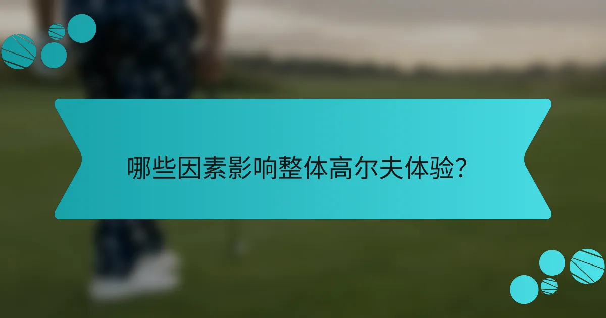 哪些因素影响整体高尔夫体验?